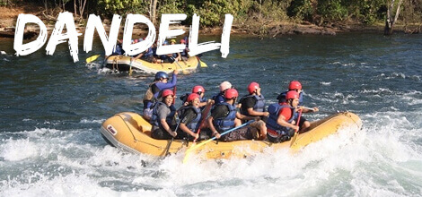 Team Building and Team Outing in Dandeli