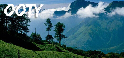 Team Building and Team Outing in Ooty